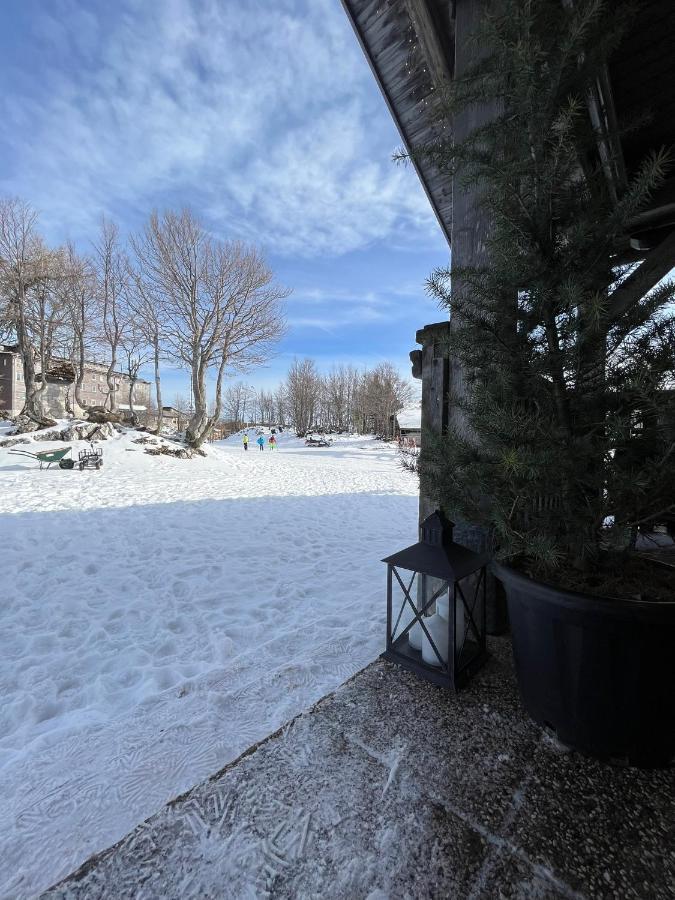 Chalet Burja At Vogel Mountain - Cable Car Access Or Hiking - Not Reachable With Car Bohinj Buitenkant foto