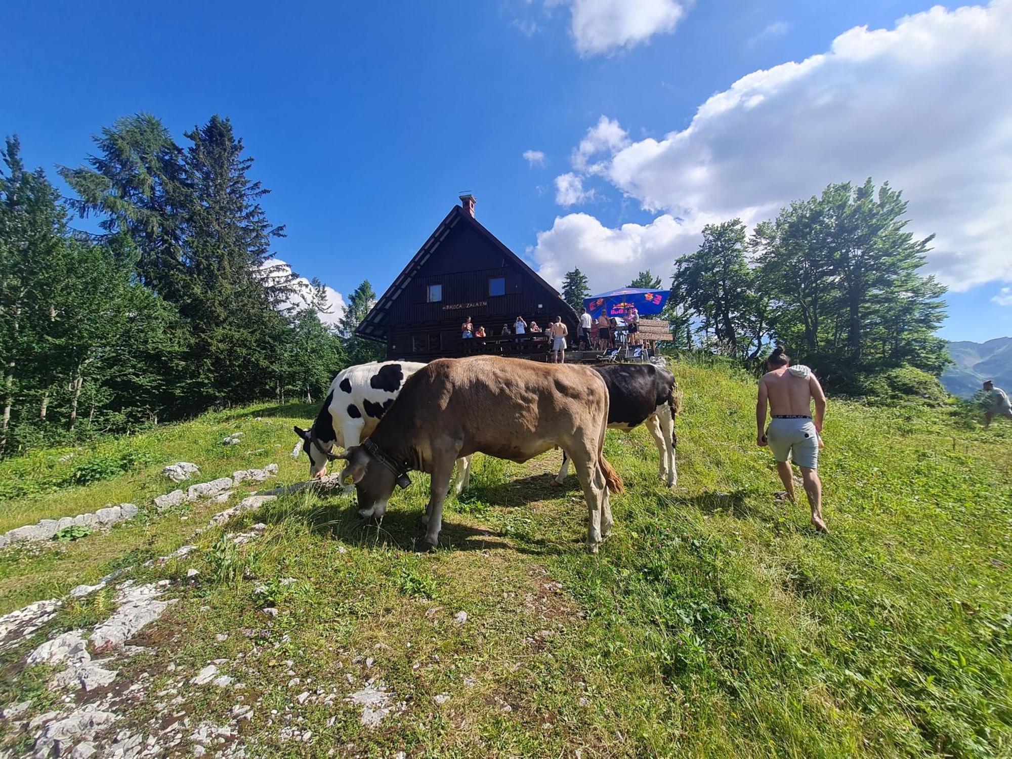 Chalet Burja At Vogel Mountain - Cable Car Access Or Hiking - Not Reachable With Car Bohinj Buitenkant foto